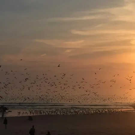 Apartman Caparica Ocean View