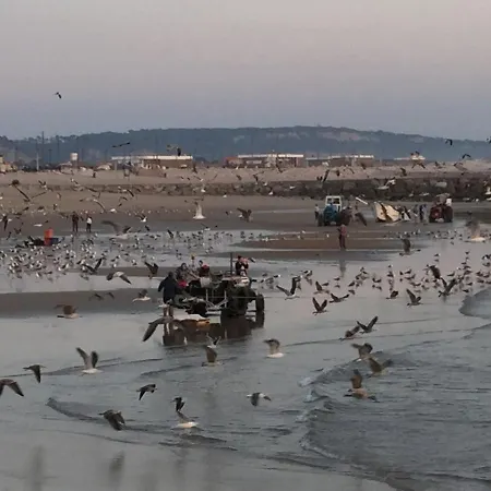 Caparica Ocean View Costa de Caparica